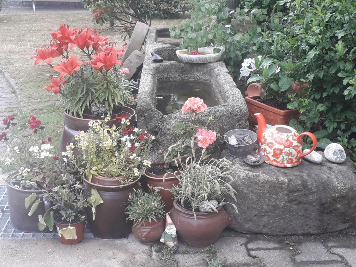 Sommerfrische Hinterhermsdorf Eksteriør billede
